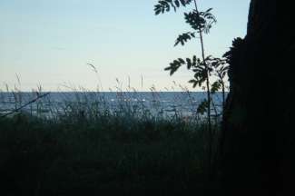 DSC02011.JPG